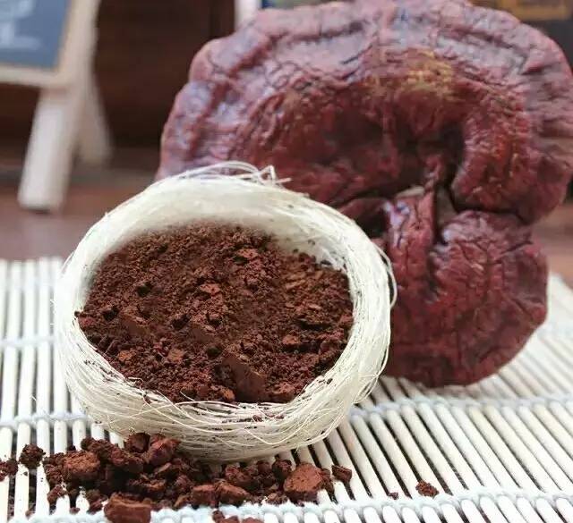 灵芝对男性生殖系统的健康帮助很大