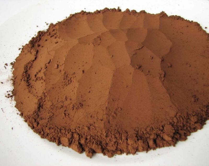 中药抗癌使者——灵芝孢子粉