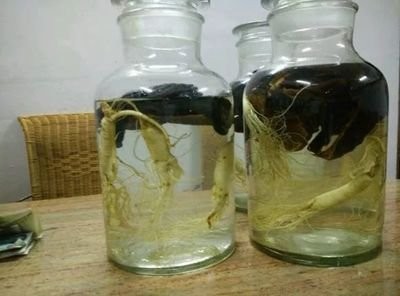 灵芝人参酒的功效