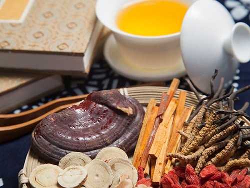 灵芝的药用价值